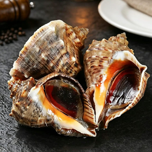 Extra-Large Deep-Sea Conch Meat