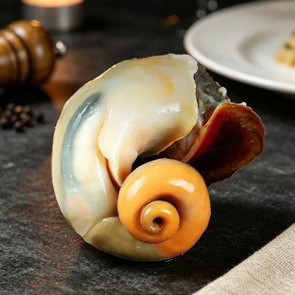 Extra-Large Deep-Sea Conch Meat